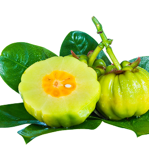 Garcinia Cambogia